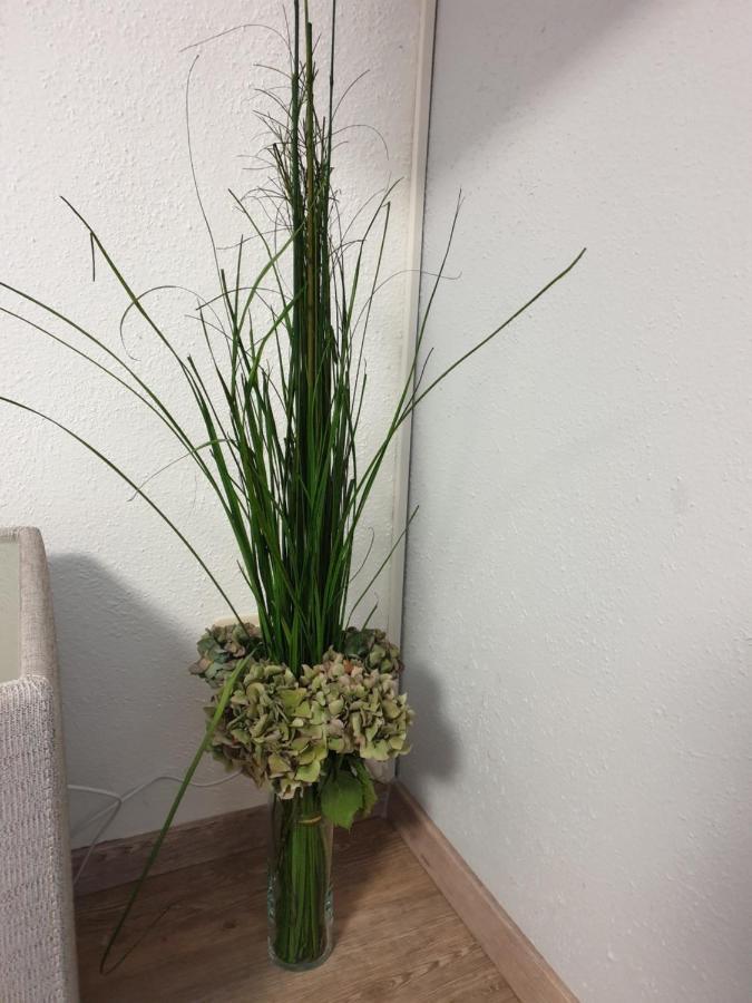 הוירסוורדה Scholz & Scholz Gbr Zimmervermietung מראה חיצוני תמונה